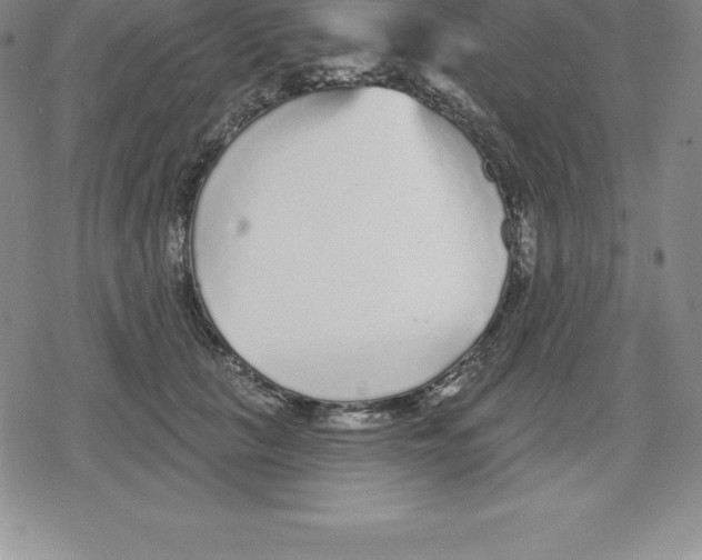 X0000079290657200612151703