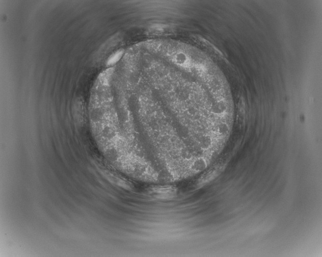 X0000079290659200612151703