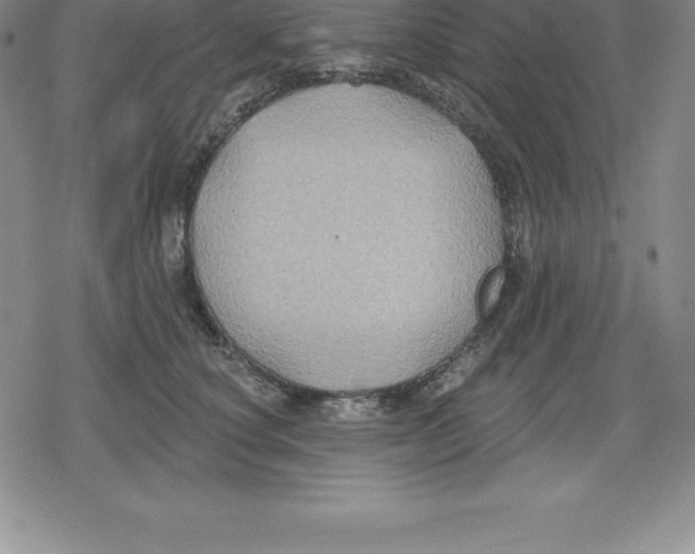 X0000079290660200612151703