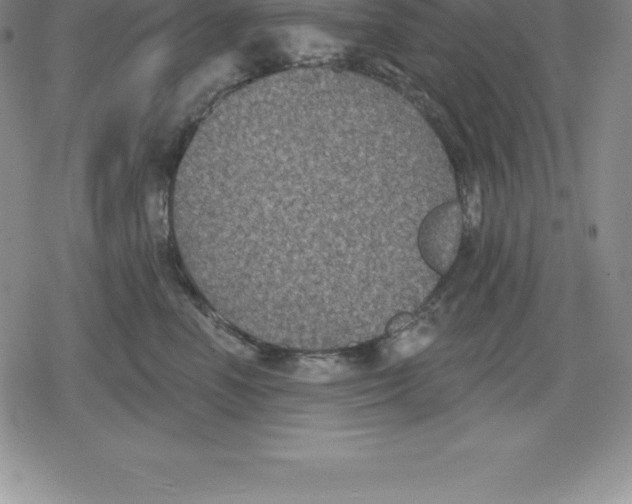 X0000079290666200612151703