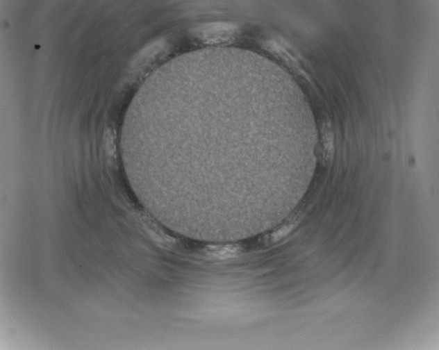 X0000079290667200612151703