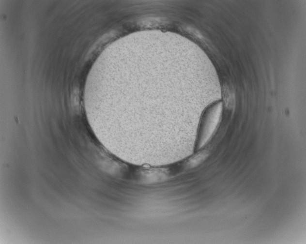 X0000079290670200612151703