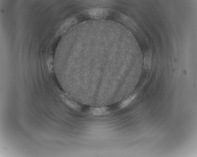 X0000079290671200612151703