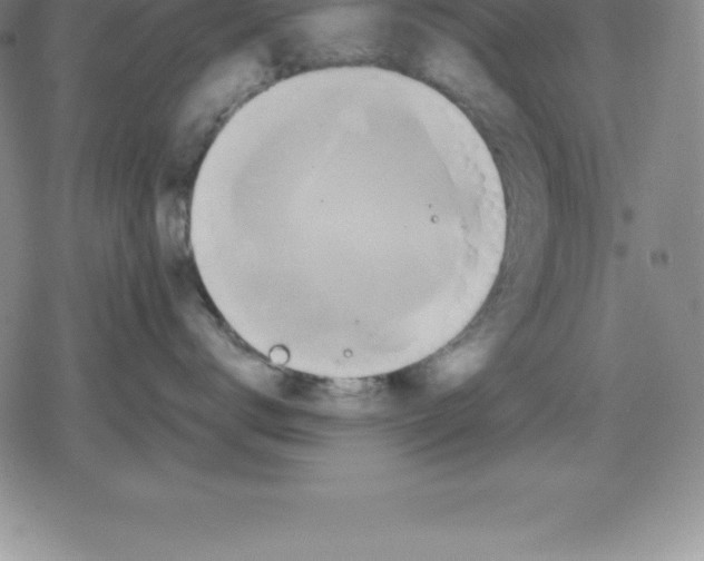 X0000079290672200612151703