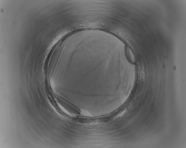 X0000079290674200612151703