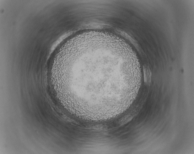 X0000079290675200612151703