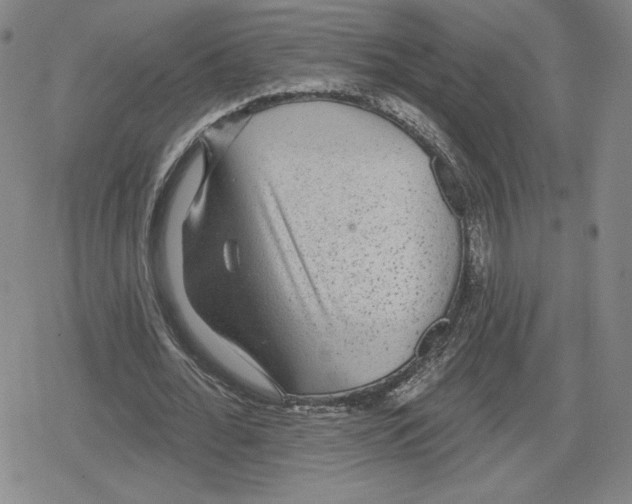 X0000079290676200612151703