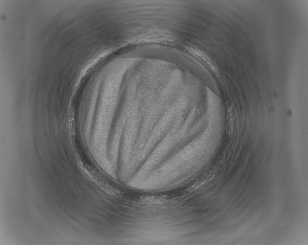 X0000079290680200612151702
