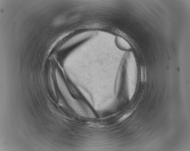 X0000079290723200612151701