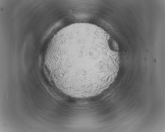 X0000079290742200612151701