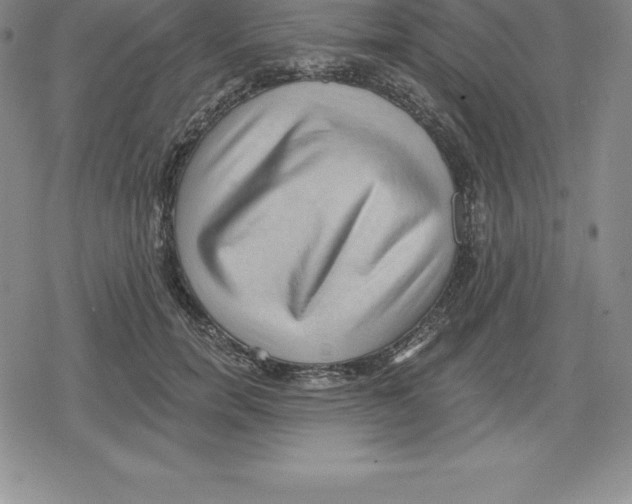 X0000079290750200612151701