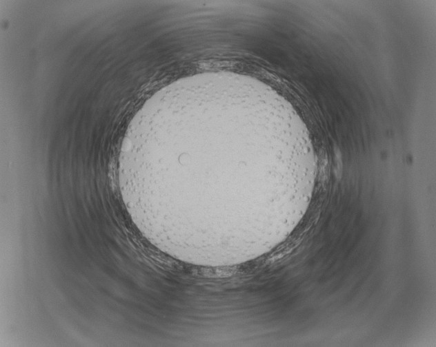 X0000079290772200612151701