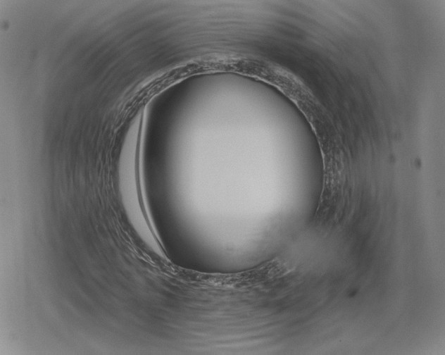 X0000079290773200612151701