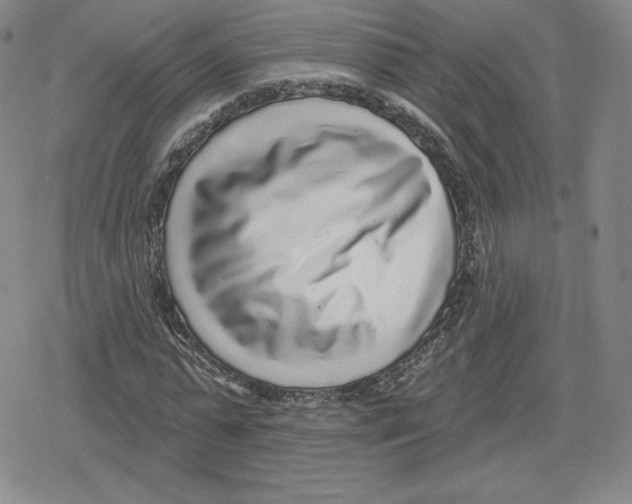 X0000079290775200612151701