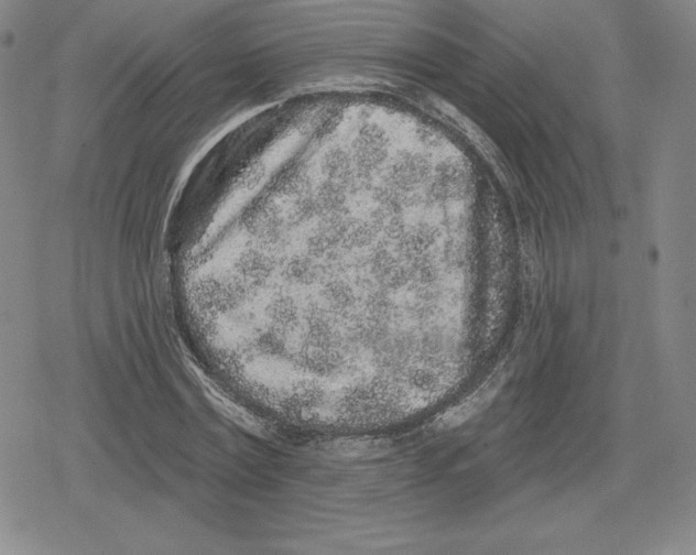 X0000079290779200612151701