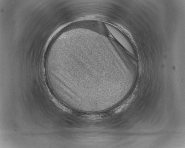 X0000079290792200612151701