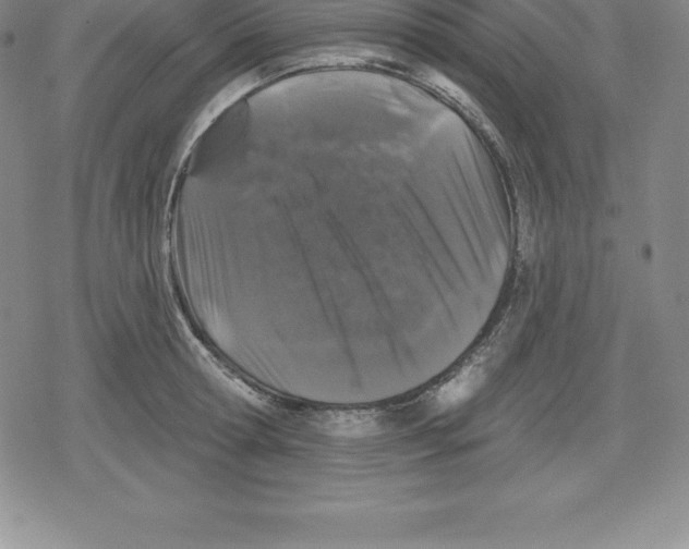 X0000079290802200612151700