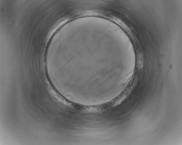 X0000079290806200612151700