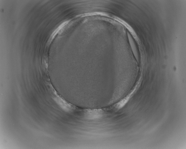 X0000079290809200612151700