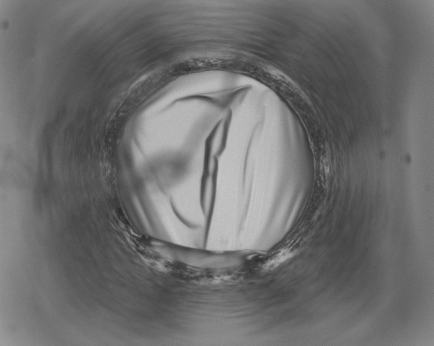 X0000079290822200612151700