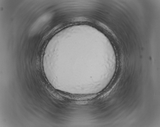 X0000079290825200612151700