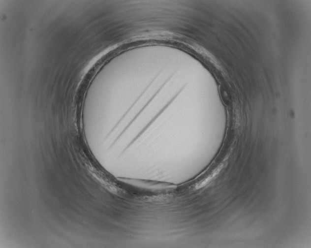 X0000079290830200612151700