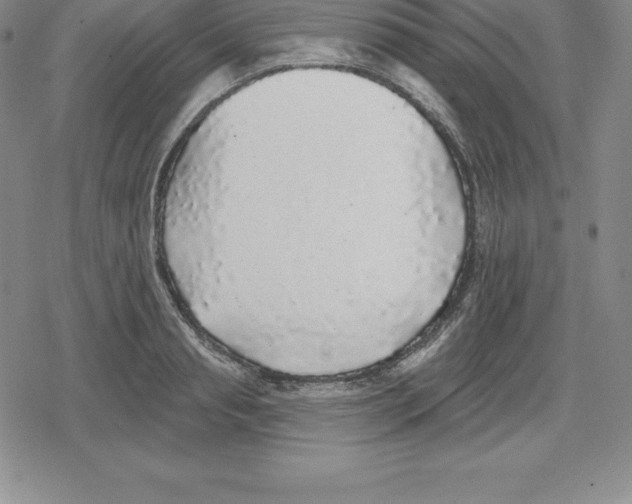 X0000079290845200612151700