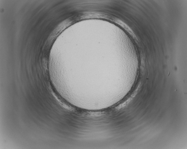 X0000079290849200612151700