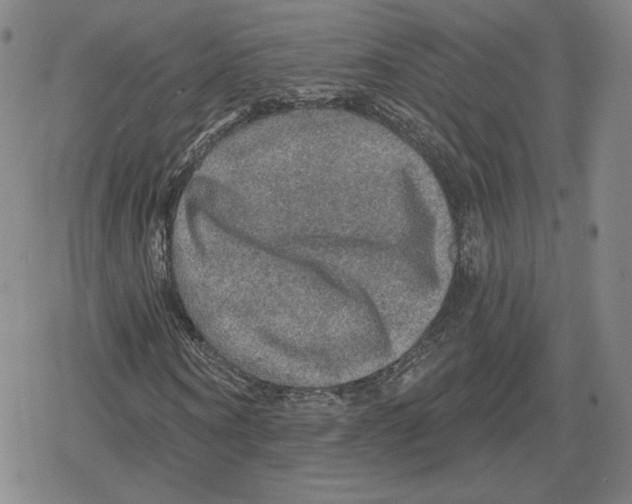 X0000079290866200612151659