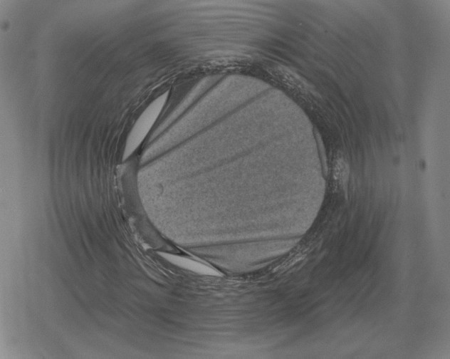X0000079290868200612151659