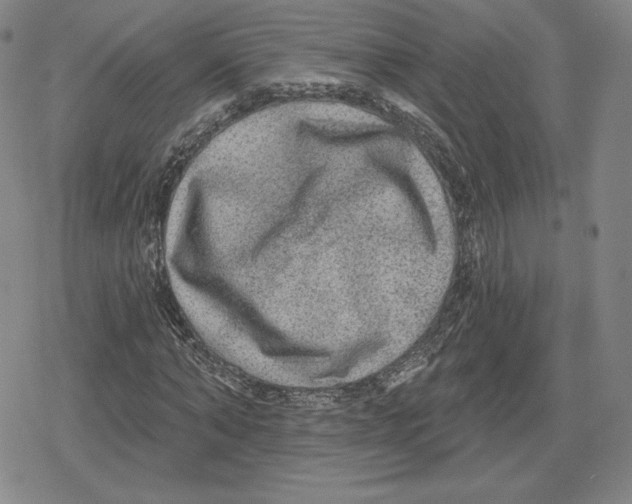 X0000079290870200612151659