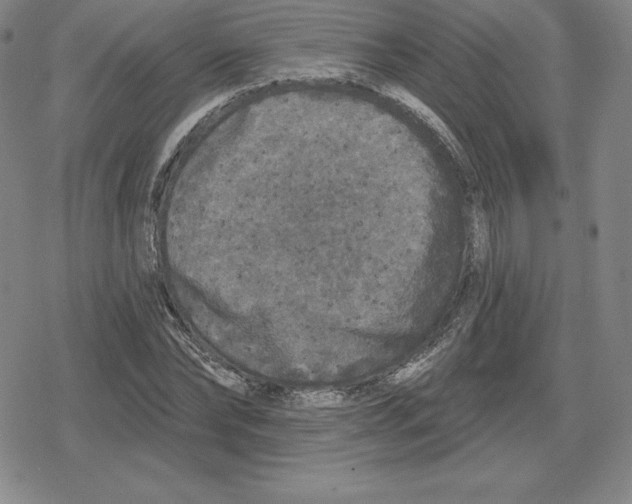 X0000079290878200612151659