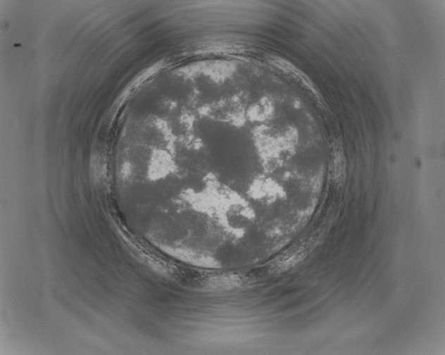 X0000079290882200612151659