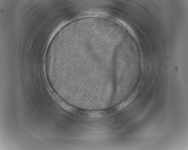 X0000079290899200612151659