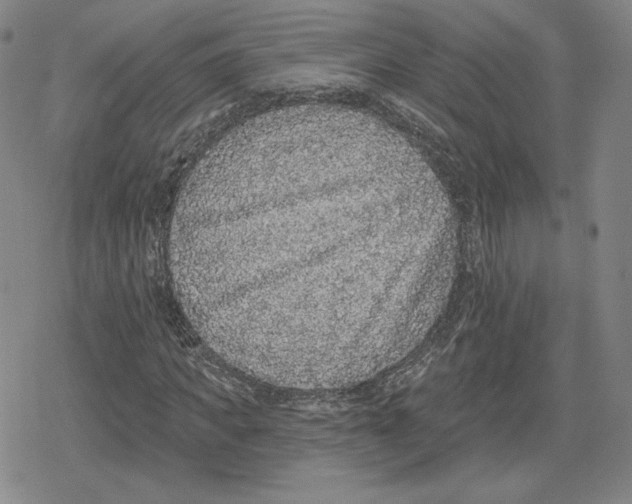 X0000079290917200612151658