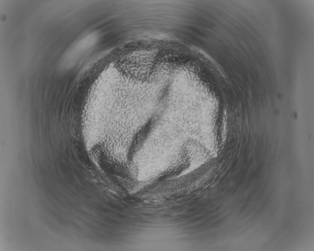 X0000079290919200612151658