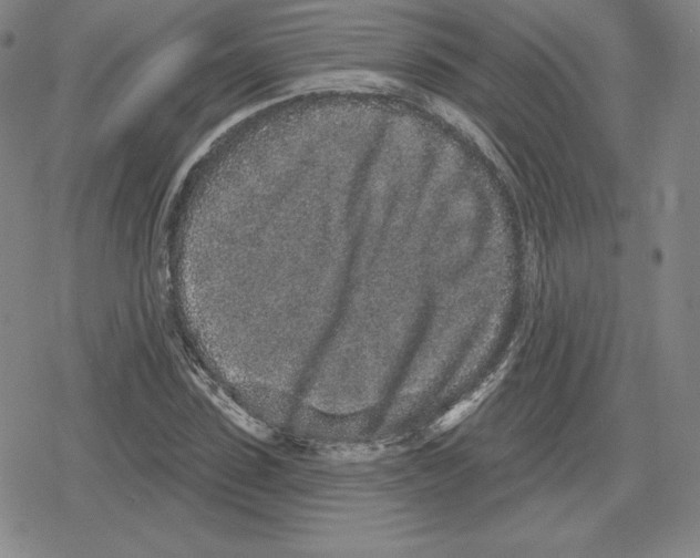 X0000079290923200612151658