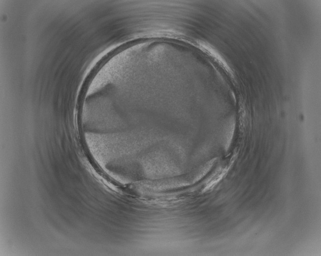 X0000079290932200612151658
