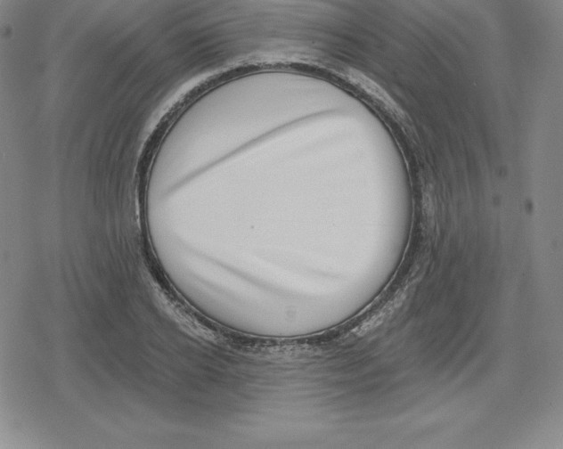 X0000079290934200612151658