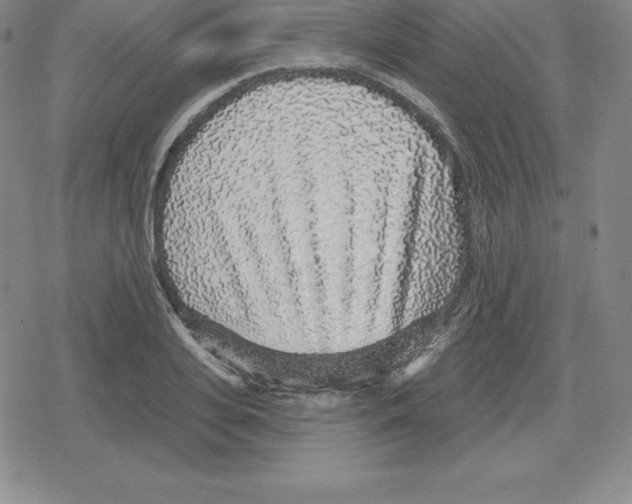 X0000079290935200612151658