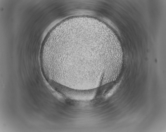 X0000079290943200612151658