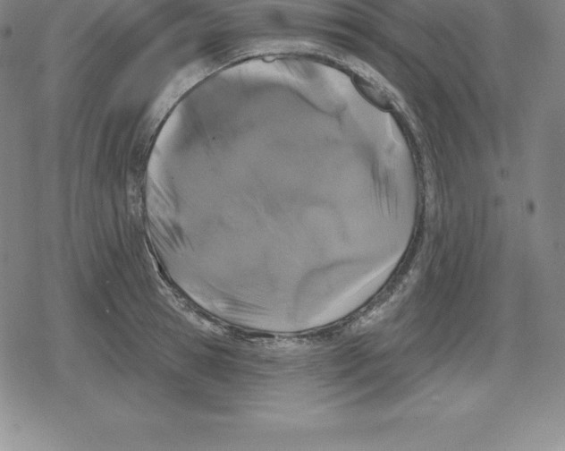 X0000079290945200612151658