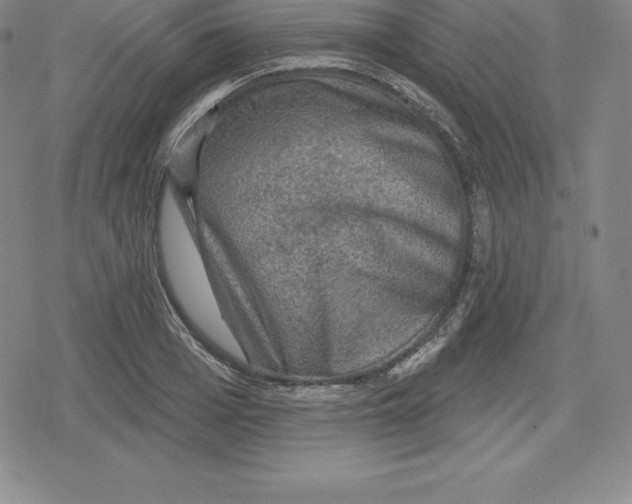 X0000079290985200612151657