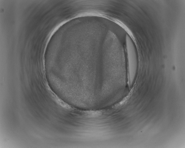 X0000079290996200612151657