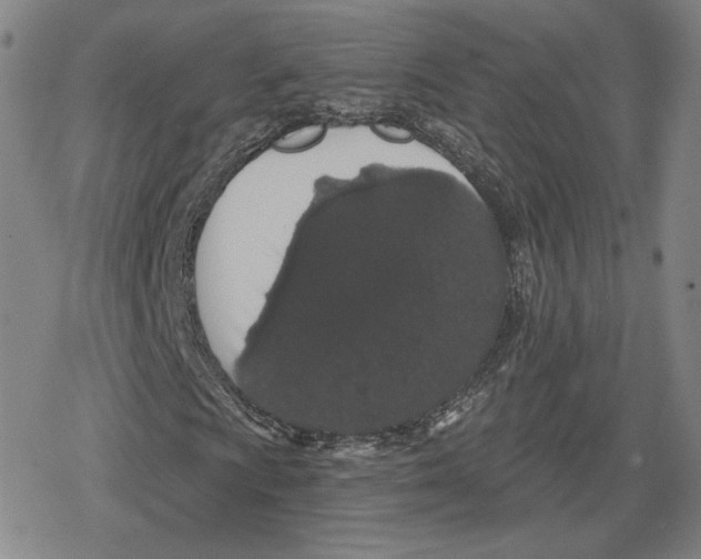 X0000079291009200612151656