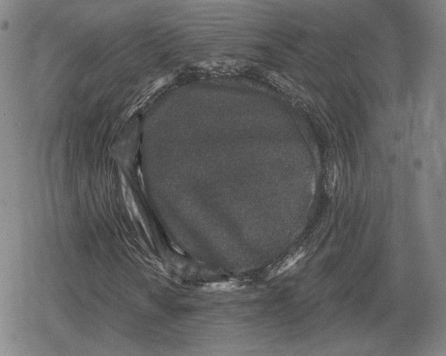 X0000079291010200612151656