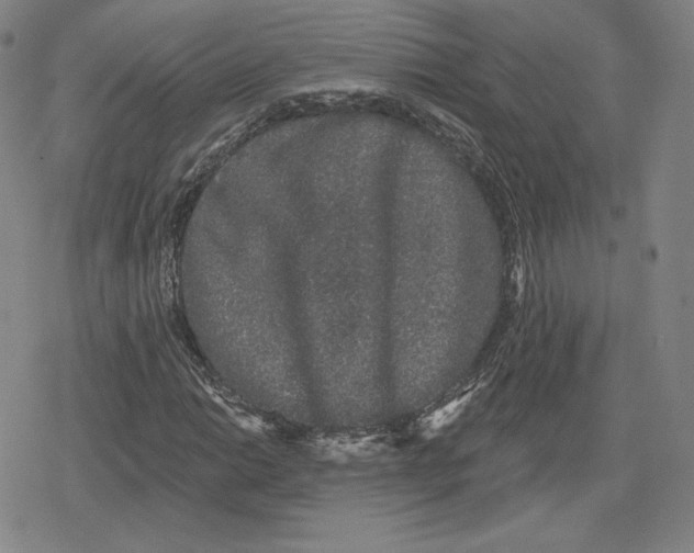 X0000079291014200612151656