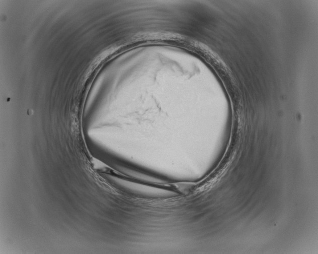 X0000079291025200612151657