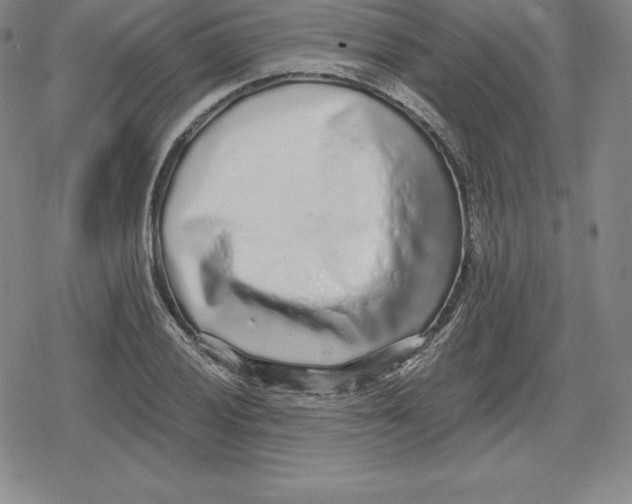 X0000079291028200612151657