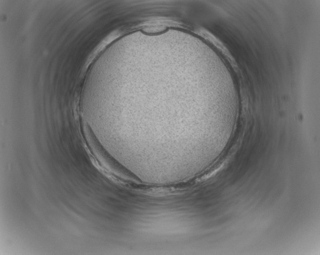 X0000079291049200612151657